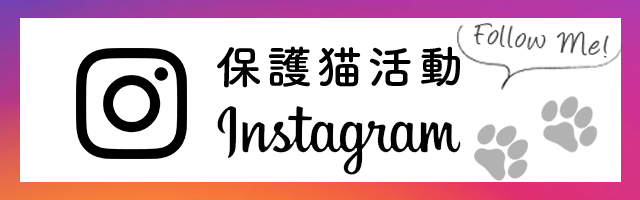 保護猫活動Instagram